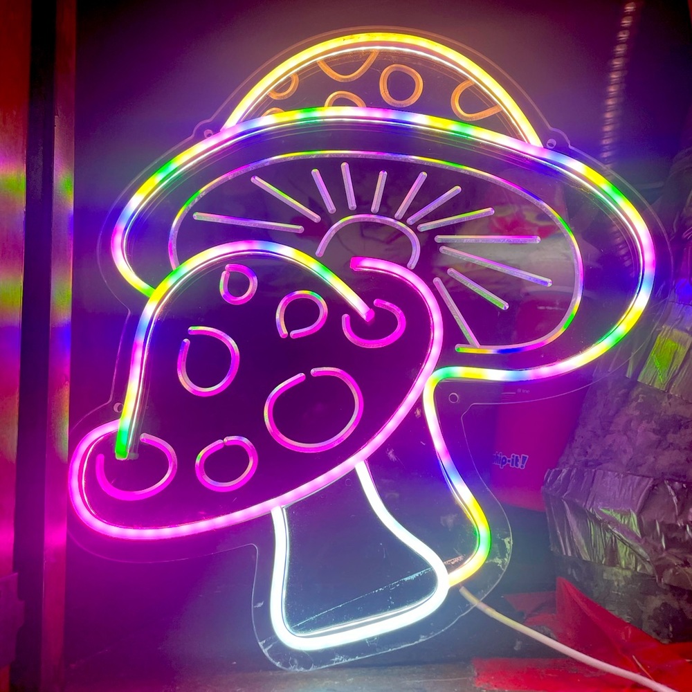 Mushroom light